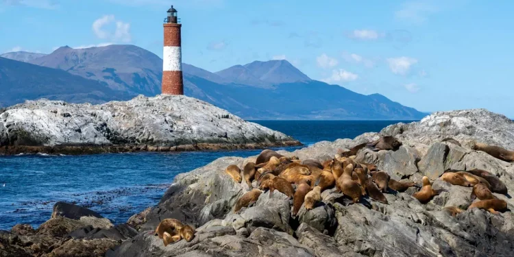 La salmonicultura llega al fin del mundo tras años de resistencia