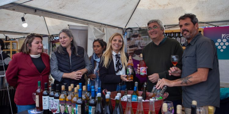 Productores y bodegas, protagonistas en la apertura de la 11° Fiesta Provincial de la Vendimia en Saldungaray