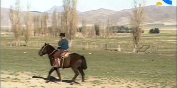 Tesoro audiovisual: Redescubren imágenes inéditas de Tornquist y toda la Comarca filmadas hace 40 años para «Historias de la Argentina Secreta»