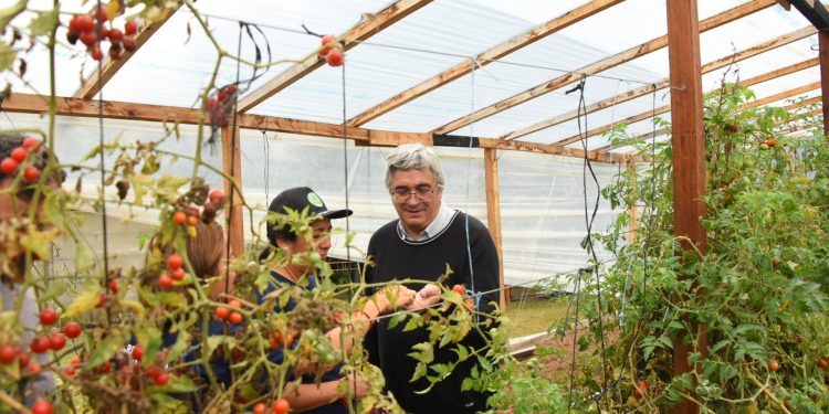 Javier Rodríguez lanzó una nueva edición del programa Huertas Urbanas Bonaerenses