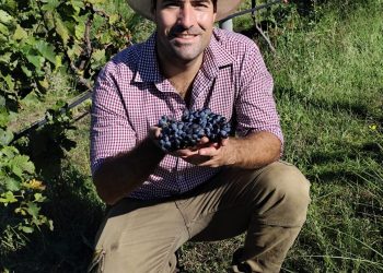 El «hobby de pandemia» que conquistó la Vendimia: Francisco Gabella y el éxito del Carignan en Pellicurá