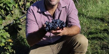 El «hobby de pandemia» que conquistó la Vendimia: Francisco Gabella y el éxito del Carignan en Pellicurá