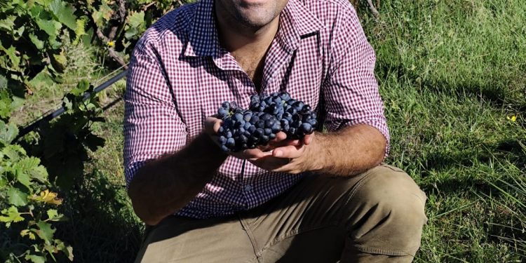 El «hobby de pandemia» que conquistó la Vendimia: Francisco Gabella y el éxito del Carignan en Pellicurá