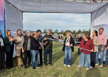 Saldungaray vive la 11° Fiesta Provincial de la Vendimia: un encuentro de producción, turismo y el auge del vino bonaerense