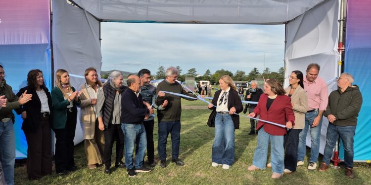 Saldungaray vive la 11° Fiesta Provincial de la Vendimia: un encuentro de producción, turismo y el auge del vino bonaerense