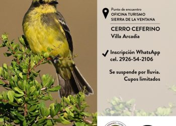 Caminata de observación de aves en el Cerro Ceferino