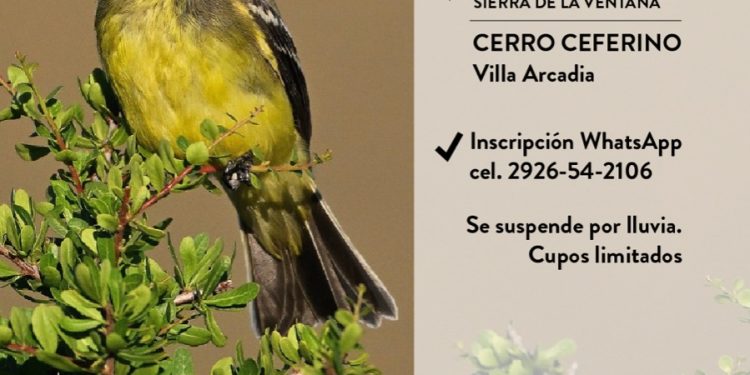 Caminata de observación de aves en el Cerro Ceferino