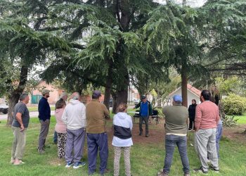 “La responsabilidad de mantener el árbol es del vecino”: el polémico criterio de gestión de poda en Coronel Suárez