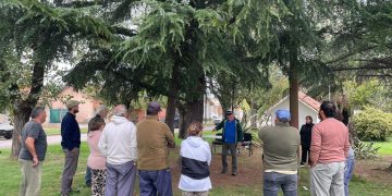 “La responsabilidad de mantener el árbol es del vecino”: el polémico criterio de gestión de poda en Coronel Suárez