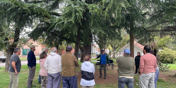 “La responsabilidad de mantener el árbol es del vecino”: el polémico criterio de gestión de poda en Coronel Suárez