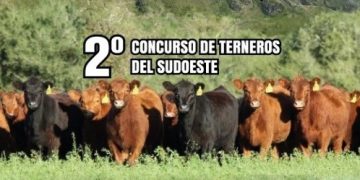 El campo y la ciudad se dan la mano: se viene el 2° Concurso de Terneros en la 50° Expo Rural de Tornquist
