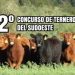 El campo y la ciudad se dan la mano: se viene el 2° Concurso de Terneros en la 50° Expo Rural de Tornquist