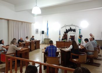 Salud, transporte y cruces políticos: Los ejes de la primera sesión ordinaria de abril en el HCD