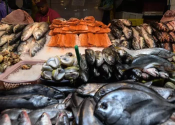 La actividad económica cayó 2,6% en febrero y registró su peor retroceso desde 2023