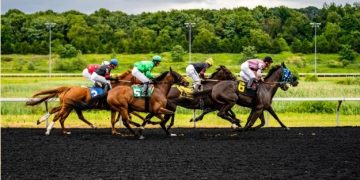 Más apostadores piden historial verificable y menos promesas en mayúsculas