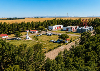 Un orgullo que nació del campo: 50 años del Criadero ACA Cabildo, la fuerza comercial de los Trigos Cooperativos