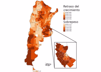 Mapa del sobrepeso y el retraso del crecimiento en la Argentina: en qué zonas del país coexisten
