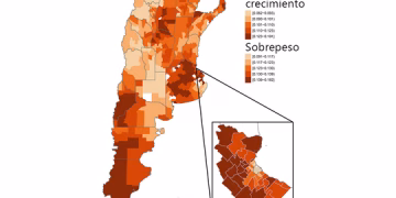 Mapa del sobrepeso y el retraso del crecimiento en la Argentina: en qué zonas del país coexisten