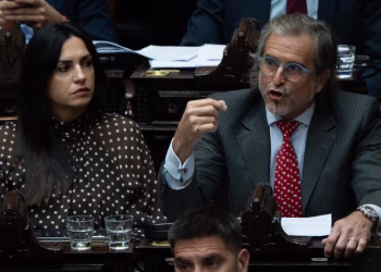 El oficialismo logró aprobar la Ley Hojarasca en Diputados
