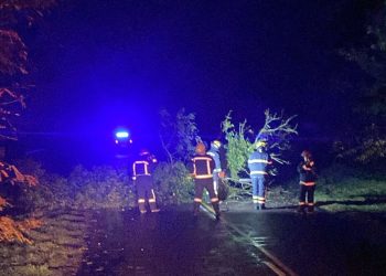 Ruta 76: Persisten los riesgos por caída de ramas tras el siniestro del viernes