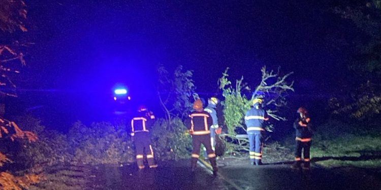 Ruta 76: Persisten los riesgos por caída de ramas tras el siniestro del viernes