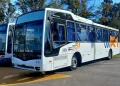 Línea 229: Vía 51 habilitará el nuevo servicio entre Tornquist y Bahía Blanca con un esquema de prueba por un año