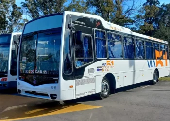 Línea 229: Vía 51 habilitará el nuevo servicio entre Tornquist y Bahía Blanca con un esquema de prueba por un año