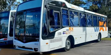 Línea 229: Vía 51 habilitará el nuevo servicio entre Tornquist y Bahía Blanca con un esquema de prueba por un año