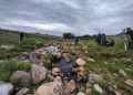 Estudiantes de Ingeniería Forestal trabajaron en Villa Ventana