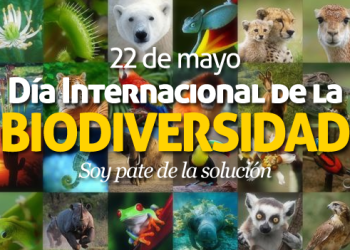 22 de mayo, Día Internacional de la Biodiversidad