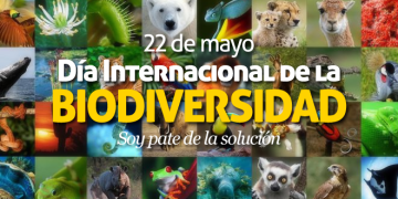 22 de mayo, Día Internacional de la Biodiversidad