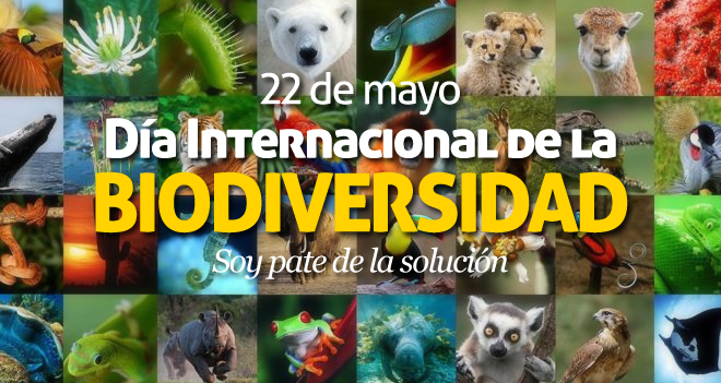 22 de mayo, Día Internacional de la Biodiversidad
