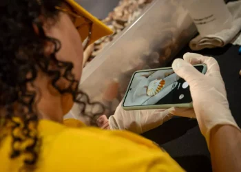 La inteligencia artificial se convierte en aliada clave para conservar la biodiversidad de América Latina