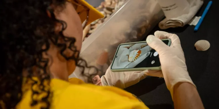 La inteligencia artificial se convierte en aliada clave para conservar la biodiversidad de América Latina