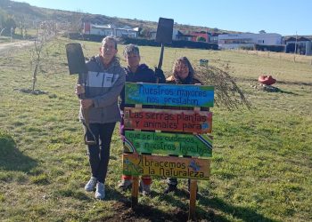 Compromiso Verde en Cerro Ceferino: Vecinos se organizan para transformar y cuidar la plazoleta del barrio