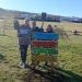 Compromiso Verde en Cerro Ceferino: Vecinos se organizan para transformar y cuidar la plazoleta del barrio