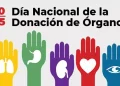Día Nacional de la Donación de Órganos: ¿por qué se celebra el 30 de mayo en Argentina?