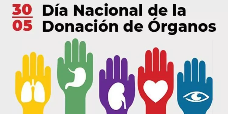 Día Nacional de la Donación de Órganos: ¿por qué se celebra el 30 de mayo en Argentina?
