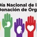 Día Nacional de la Donación de Órganos: ¿por qué se celebra el 30 de mayo en Argentina?