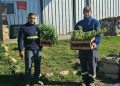 Tornquist y Sierra de la Ventana celebran el Día del Reciclado con una gran jornada de Eco Canje