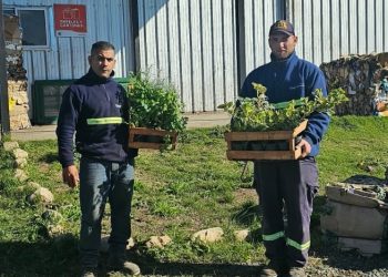 Tornquist y Sierra de la Ventana celebran el Día del Reciclado con una gran jornada de Eco Canje