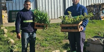 Tornquist y Sierra de la Ventana celebran el Día del Reciclado con una gran jornada de Eco Canje
