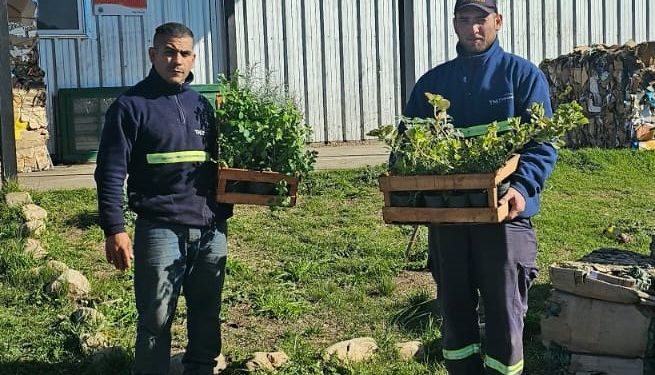 Tornquist y Sierra de la Ventana celebran el Día del Reciclado con una gran jornada de Eco Canje