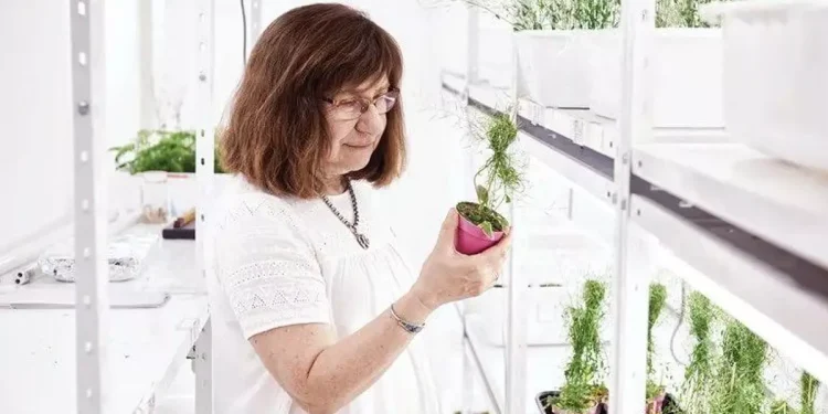 Premiaron a Raquel Chan, bioquímica argentina del CONICET, por su trabajo en cultivos resistentes a la sequía