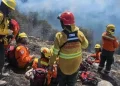 Los incendios forestales arrasaron más de 60 mil hectáreas en la Patagonia y dejaron la peor temporada en 60 años
