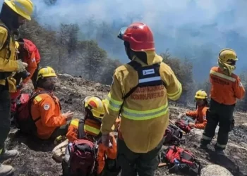 Los incendios forestales arrasaron más de 60 mil hectáreas en la Patagonia y dejaron la peor temporada en 60 años