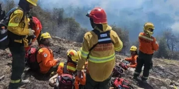 Los incendios forestales arrasaron más de 60 mil hectáreas en la Patagonia y dejaron la peor temporada en 60 años