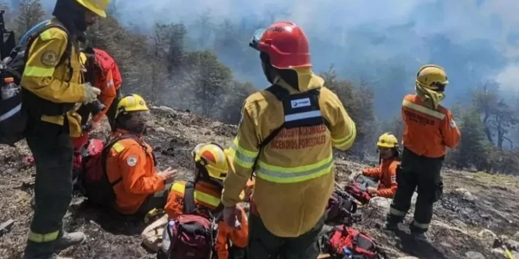 Los incendios forestales arrasaron más de 60 mil hectáreas en la Patagonia y dejaron la peor temporada en 60 años