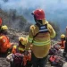 Los incendios forestales arrasaron más de 60 mil hectáreas en la Patagonia y dejaron la peor temporada en 60 años