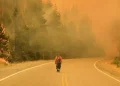2026 traerá más incendios y eventos climáticos extremos por el cambio climático y El Niño, advierten científicos
